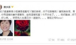 香港娱乐圈最真实爆料,真实爆料背后的惊人真相