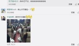 孟宇彤最新爆料微博,娱乐圈幕后真相大曝光！”