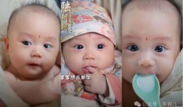 全家听我心声吃瓜免费阅读,瓜田乐趣无限——免费阅读之旅