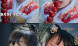 全家听我心声吃瓜免费阅读,瓜田乐趣无限——免费阅读之旅