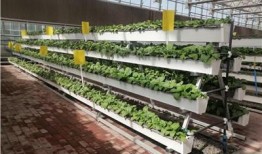 热点大棚爆料视频大全,揭秘农业科技前沿与产业变革