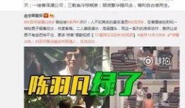 卓伟爆料假结婚了吗视频,假结婚疑云，视频揭露惊人真相