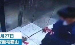 小男孩爆料教材视频,揭秘教育界的秘密角落