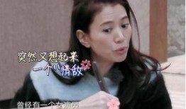 袁咏仪张智霖圈内爆料,娱乐圈的甜蜜爱情故事