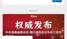 网络视频最新爆料电话,网络视频最新爆料，神秘电话背后隐藏惊人真相！