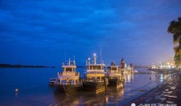 甘肃华亭小天鹅最新爆料