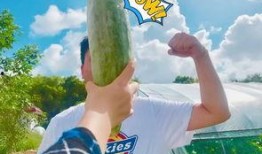 吃瓜跳舞网红叫什么来着,揭秘吃瓜跳舞网红的火爆魅力