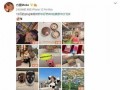 小易娱乐爆料最新消息,娱乐圈最新动态大揭秘！