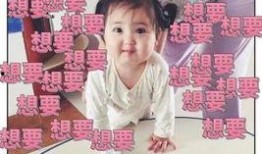 娱乐吃瓜酱想自由,吃瓜酱带你畅游自由生成世界