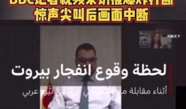 记者爆料节目视频播放,节目视频播放背后的惊人真相