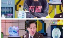 咖喱兄弟爆料视频大全在线观看,揭秘幕后精彩瞬间