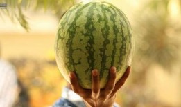 吃娱乐圈的瓜,揭秘明星幕后故事与情感纠葛