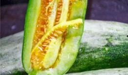 免费网红吃瓜公众号,免费公众号背后的秘密大曝光！