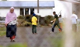 新西兰难民大妈爆料视频,揭露真实生活困境与挑战