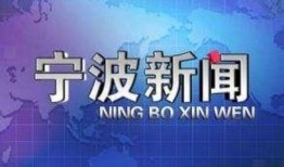 宁波新公司最新爆料新闻,揭秘神秘项目与未来发展规划