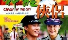 在线观看神经侠侣,网络奇缘，笑料百出