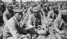 记者爆料日军战俘视频,历史真相再引关注