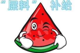 娱乐吃瓜酱素材从哪来的,素材来源大揭秘